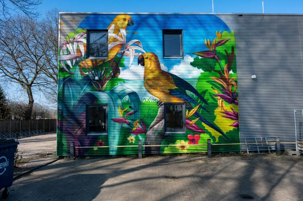 Muurschildering Vogels - Tilburg - Willem II Kazerne