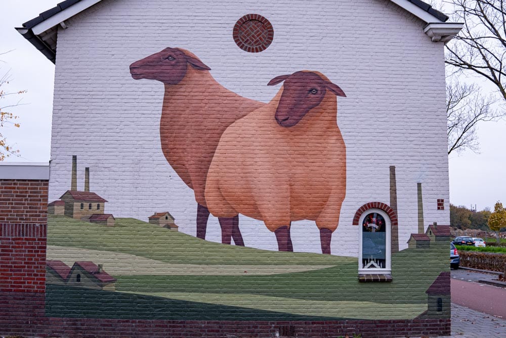 Muurschildering Schapen van Jori Van Boxtel uit 2020