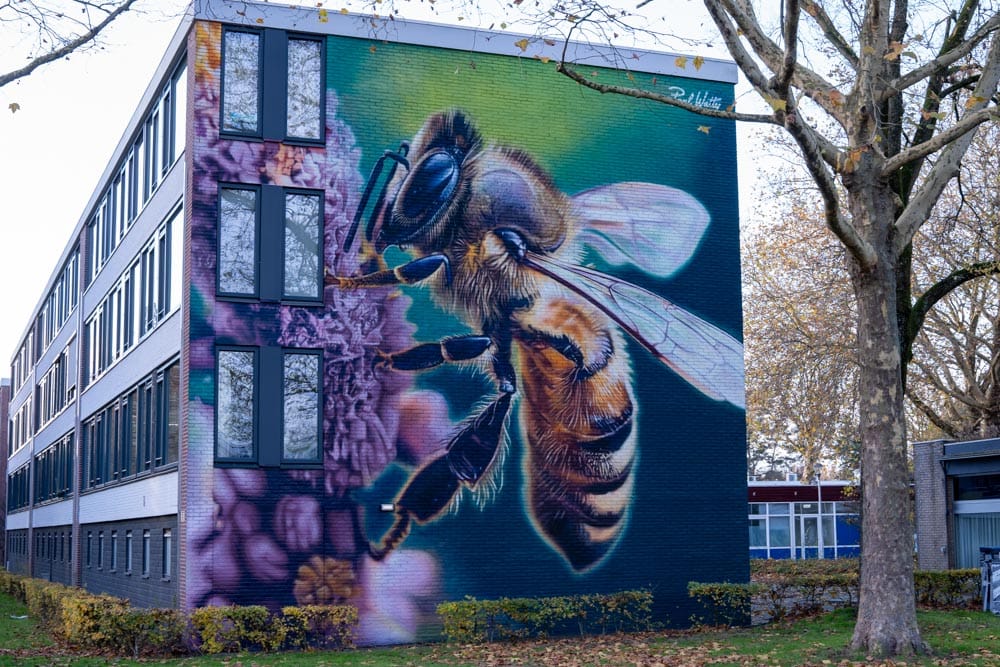 Muurschildering Reinevaarstraat van Paul Watty uit 2024