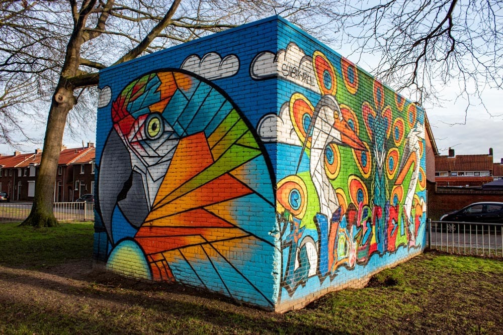 Muurschildering 't vogelveldtje van Paul de Graaf in Tilburg