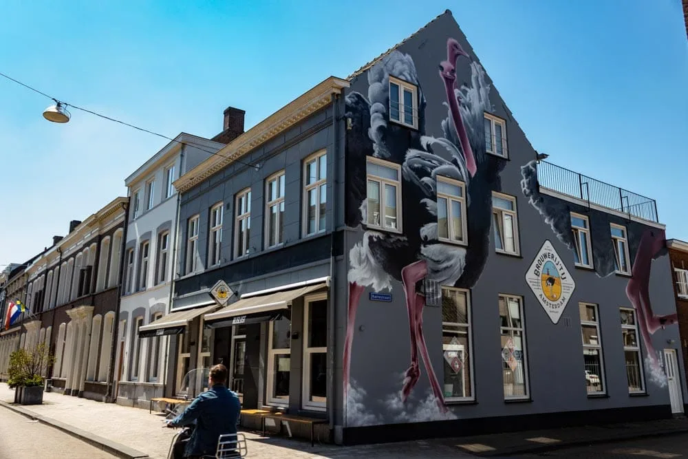 Muurschildering Struisvogel van Paul Watty in Tilburg