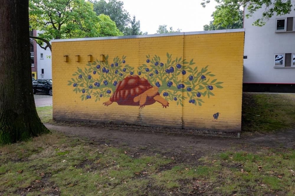 Muurschildering Schildpad van Collectief TecKeL in Tilburg