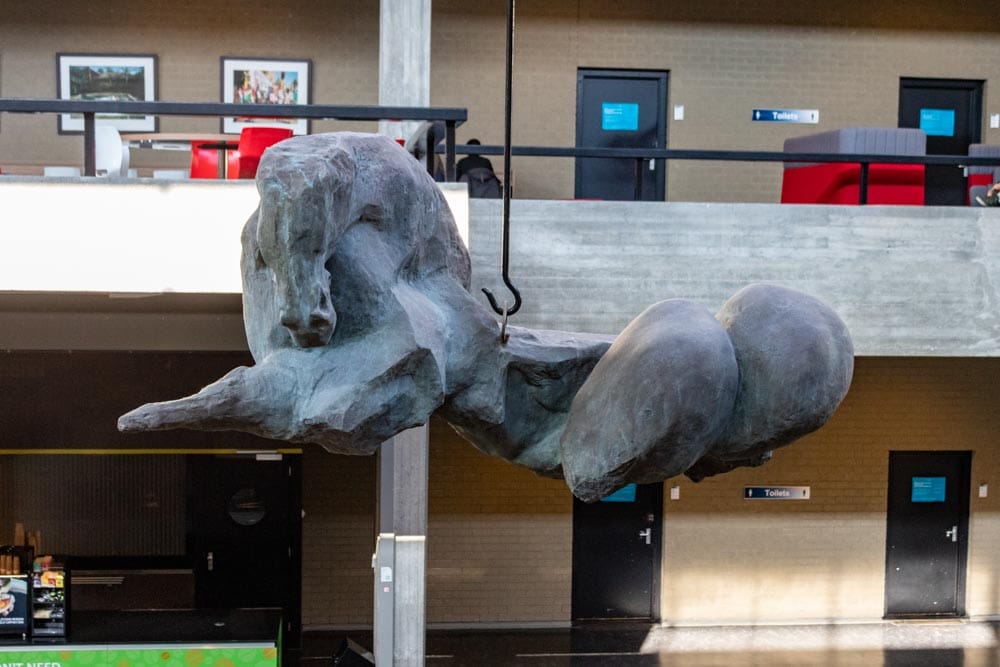Kunstwerk Paard – Academia gebouw