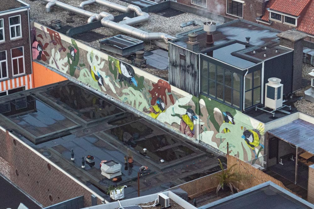 Muurschildering Koolmeesjes in het centrum van Tilburg
