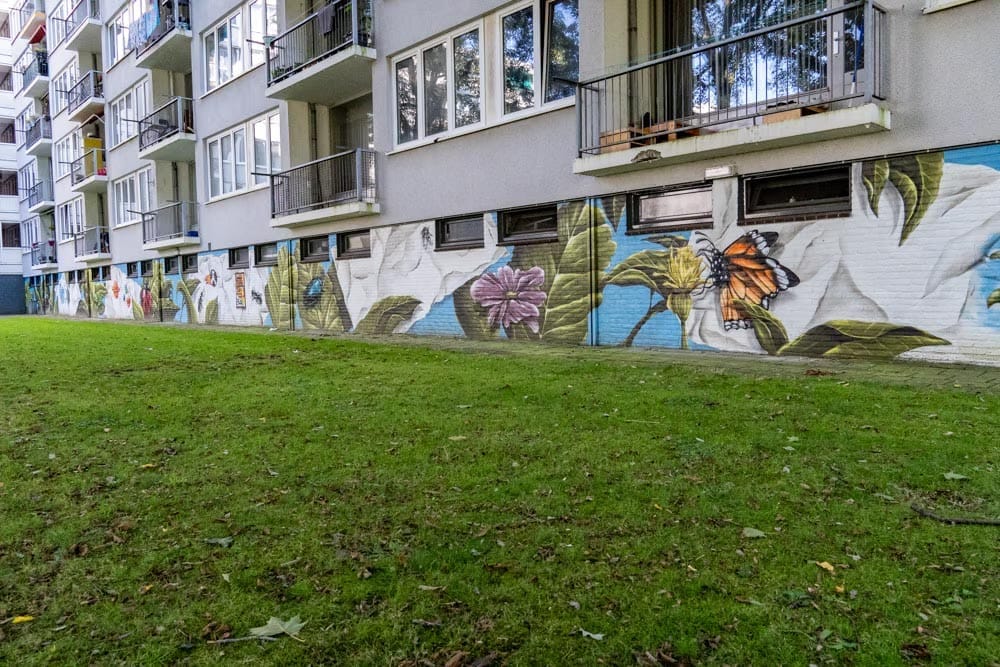 Muurschildering Finn Zwemer – Puccinistraat