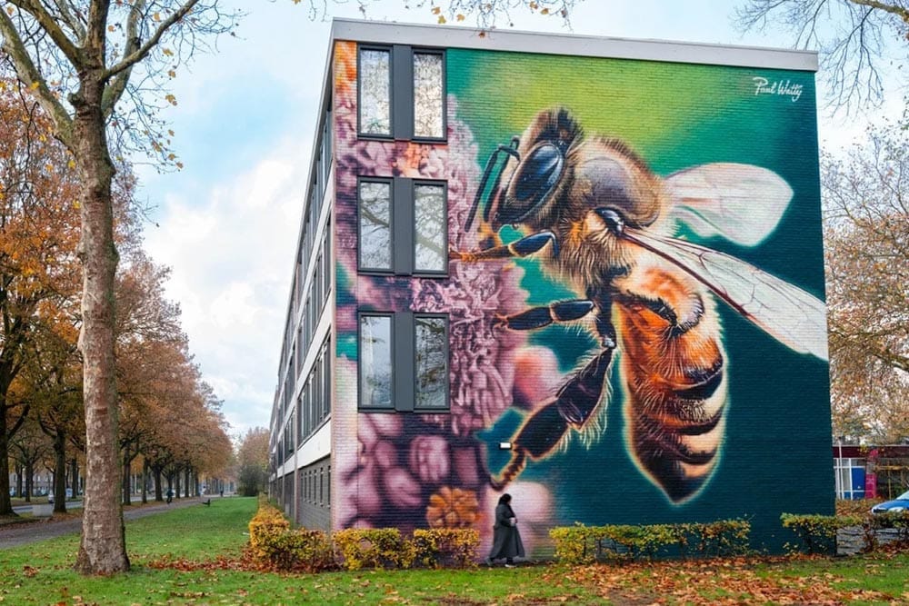 Streetart fietstocht - Info in Tilburg