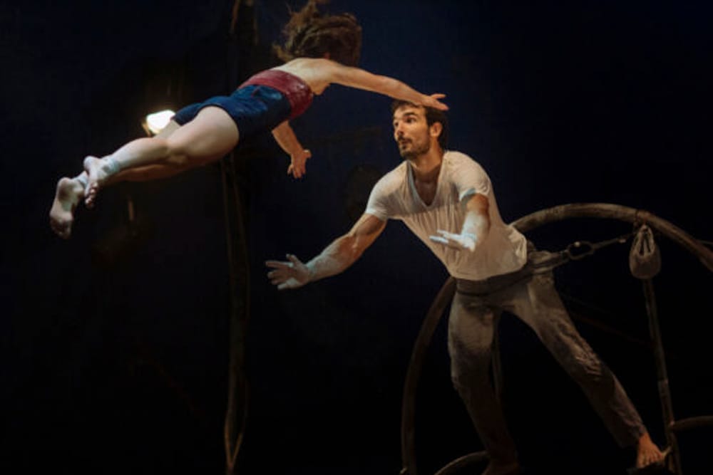 Les Dodos