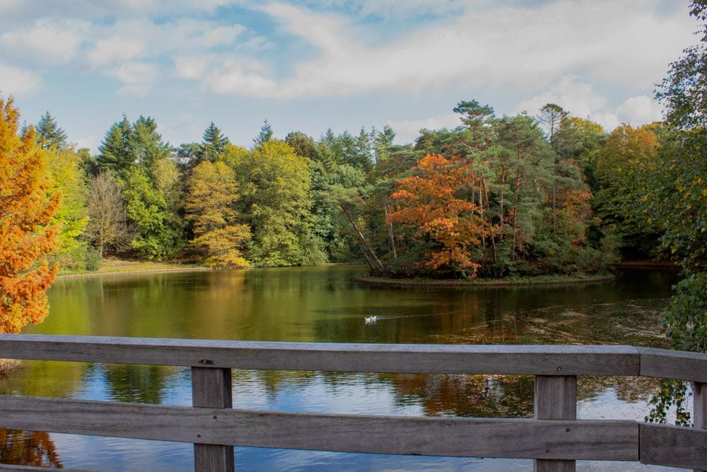 Het wandelbos in Tilburg