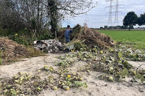Boomplantdag – NoordbuiTen