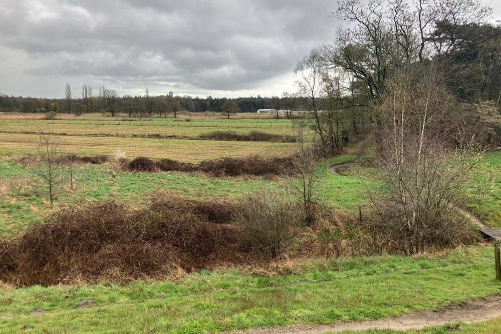 Natuurontwikkeling in de Drasse Driehoek