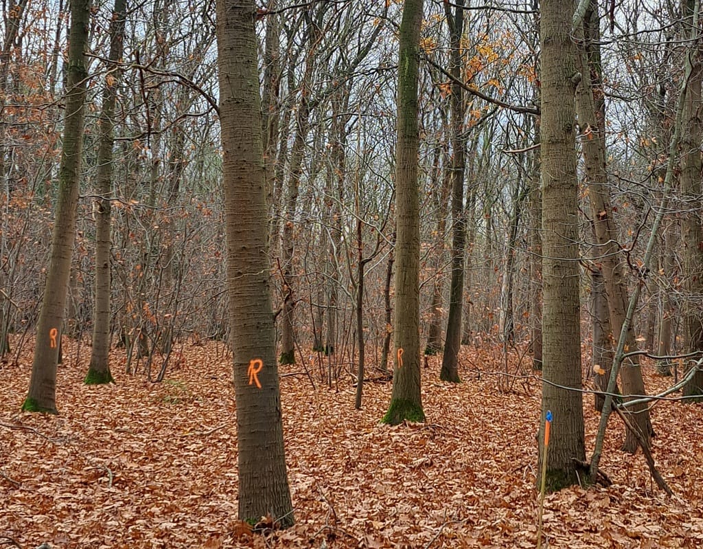 Bomen markeren in Stadsbos013