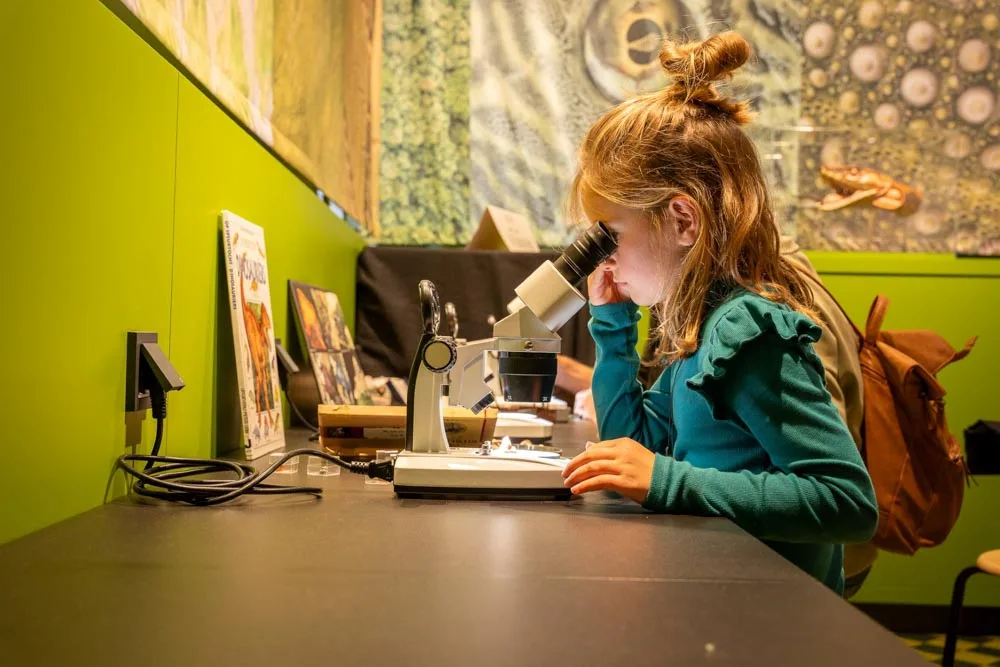 Natuurmuseum Brabant genomineerd voor VriendenLoterij Museumprijs 2026
