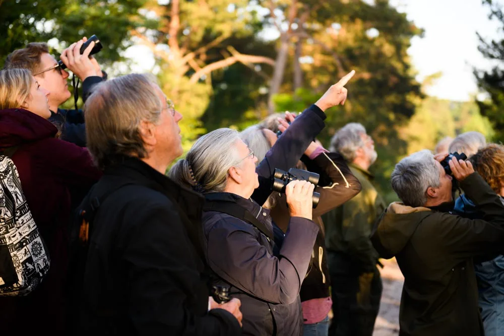 Ochtendwandeling door De Gaas – Stadsbos013 – 25 Oktober 2026